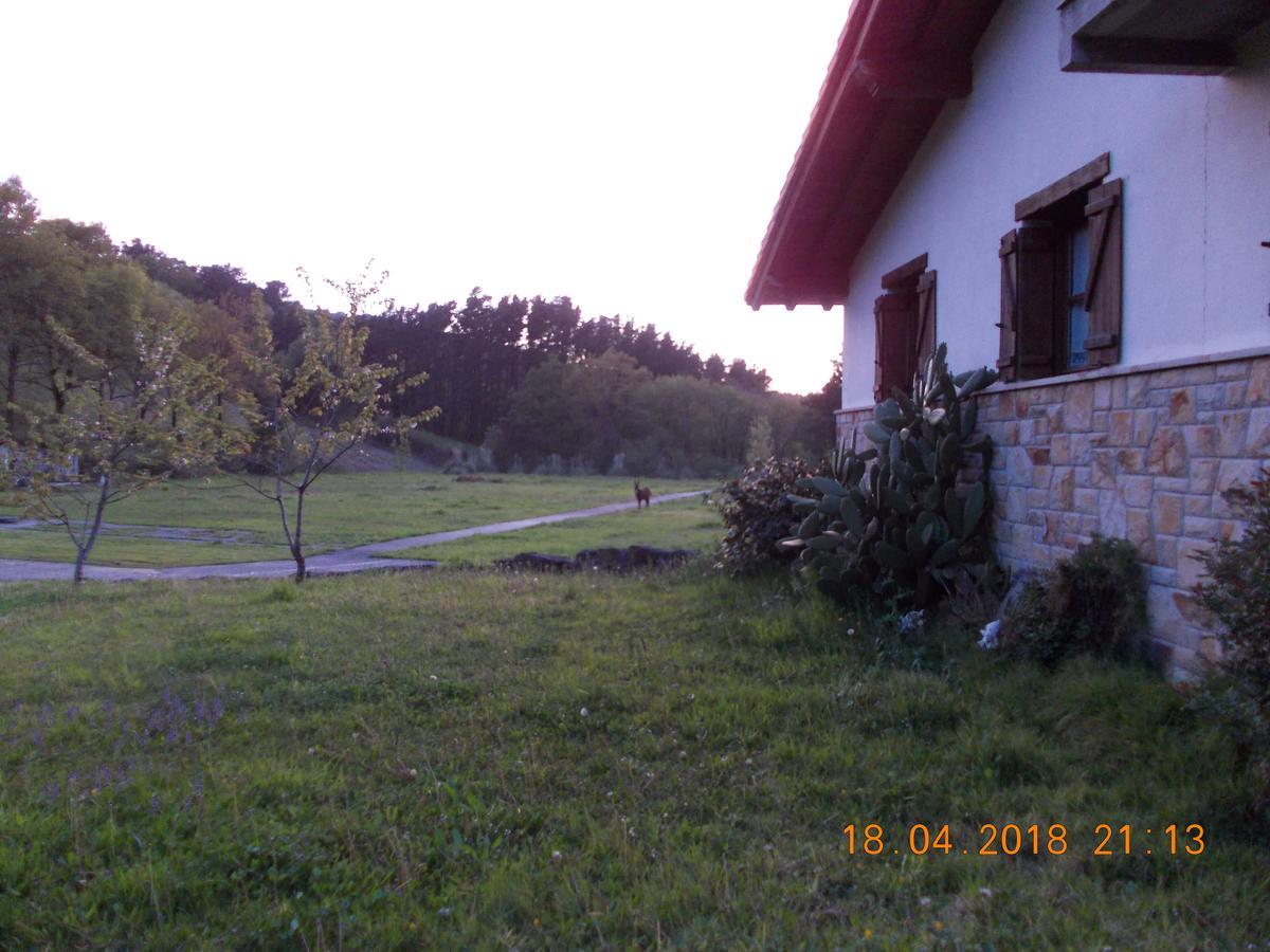 Casa Rural Miamendi Larrabetzu Extérieur photo